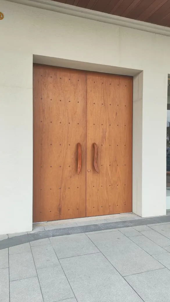 Solid Honeycomb Door